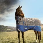 Discover WeatherBeeta: Premium Protection for Your Horse