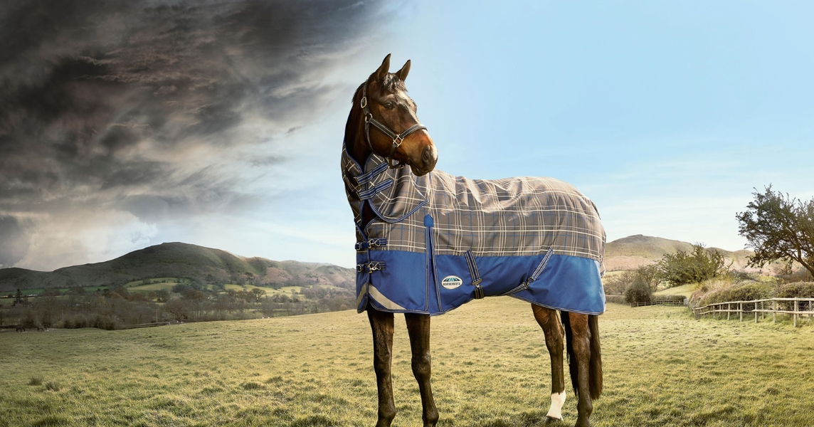 Discover WeatherBeeta: Premium Protection for Your Horse