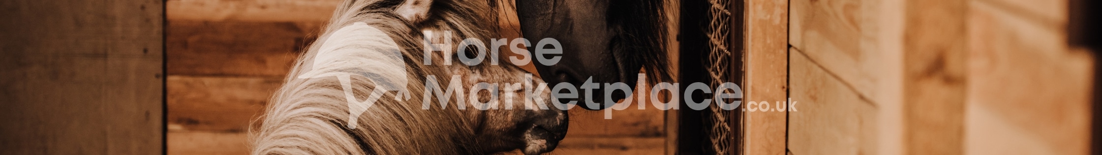 Horse Marketplace