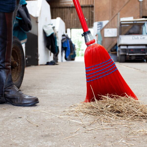 Deluxe Broom