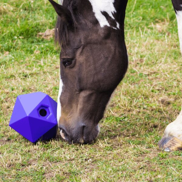 Dripfeed Treat Ball