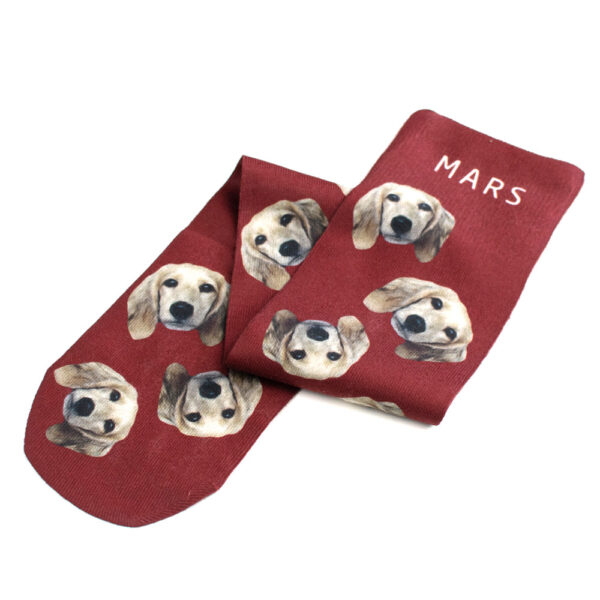 Tailster Bespoke Pet Socks