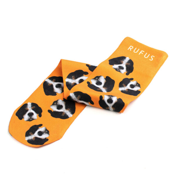 Tailster Bespoke Pet Socks