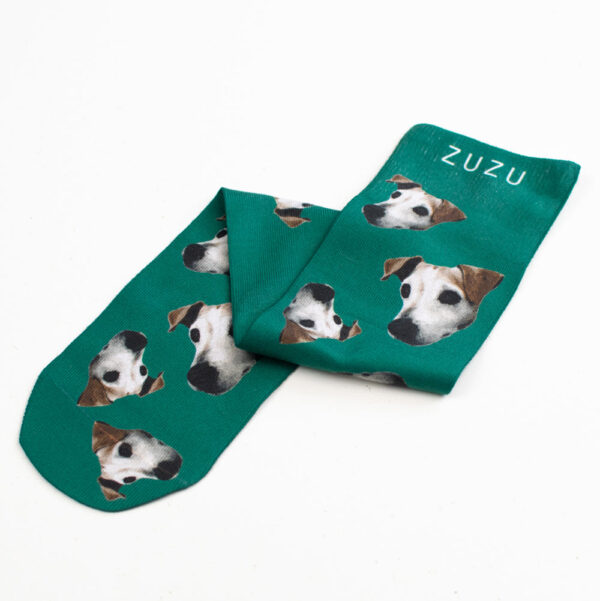 Tailster Bespoke Pet Socks