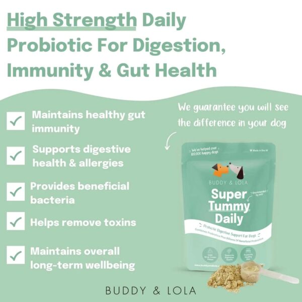 Buddy & Lola Probiotics for Dogs