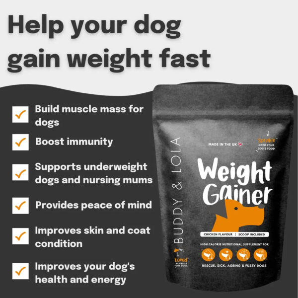 Buddy & Lola Weight Gainer for Dogs