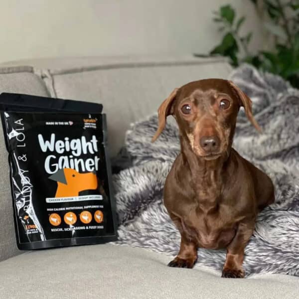 Buddy & Lola Weight Gainer for Dogs