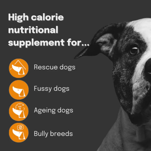 Buddy & Lola Weight Gainer for Dogs